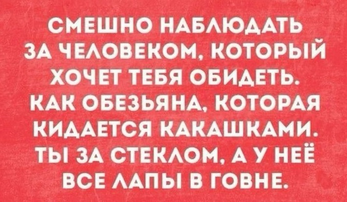 В психушке подключили интернет и через неделю в соцсетях появилось ещё несколько топовых блогеров 