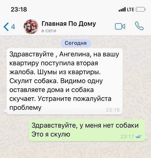 Если родственники вам давно не звонили - значит, у них все хорошо анекдоты,веселье,демотиваторы,приколы,смех,юмор