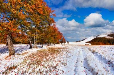 17 октября — Ерофеев день
