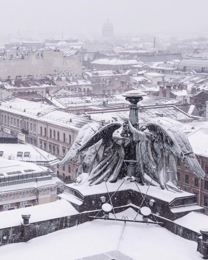 Ангелы следят за Петербургом северной, снизу, нельзя, раньше, сфотографировать, добраться, смогли, фотолюбители, коптеров, появлением, людям, столице, простым, увидеть, тяжело, поэтому, высоко, делали, всегда, ангелов