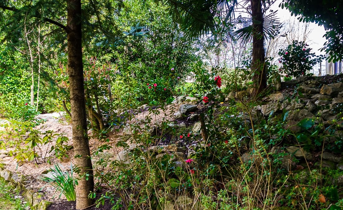 Очередные 10 000 шагов к здоровью Очередные 10 000 шагов к здоровью коронавирус,медицина,общество,яостаюсьдома