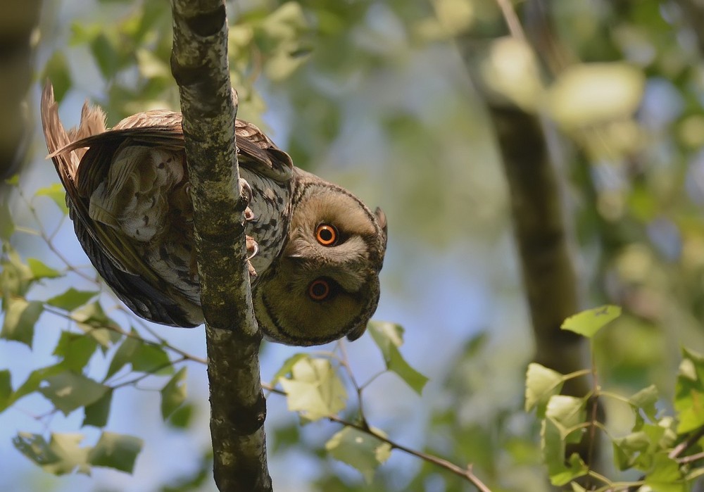 Подборка душевных фотографий Подборка душевных фотографий