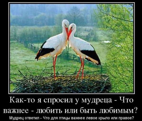 Веселые демотиваторы для хорошего настроения в субботу Веселые демотиваторы для хорошего настроения в субботу демотиваторы свежие,приколы,смешные демотиваторы,юмор