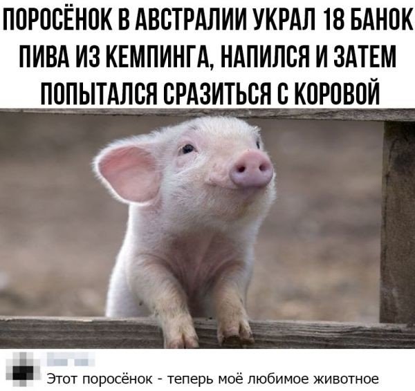 Смешные комментарии  позитив,смешные картинки,юмор