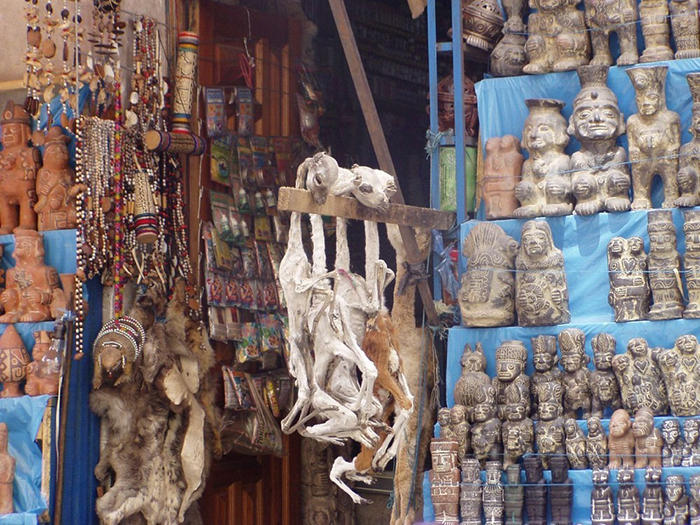 Прогулка по рынку для ведьм в столице Боливии