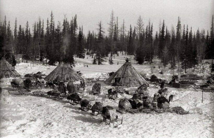 Типичное поселение инуитов/ © dailygrail.com