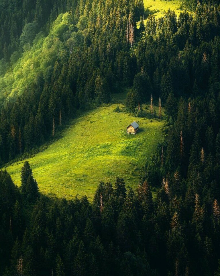 Подборка прикольных и забавных фотографий из нашей жизни красивые фотографии,прикольные картинки,угарные фотки,шикарные фотографии