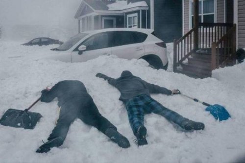 Прикольные картинки на автотематику (20 шт)