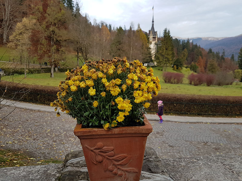 Синая. О Великолепных Замках, Которые Отнял Чаушеску И Монастыре, Построенном Спасенным Князем… автотуризм