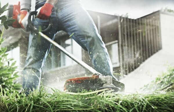 5 причин, почему я разочаровался в даче 