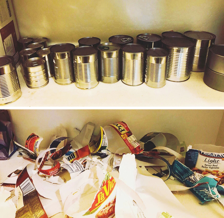 Чтобы быть родителем, нужна стальная выдержка, и вот 20+ доказательств этому Чтобы быть родителем, нужна стальная выдержка, и вот 20+ доказательств этому воспитание,Дети,Жизнь,Истории,Отношения,проблемы