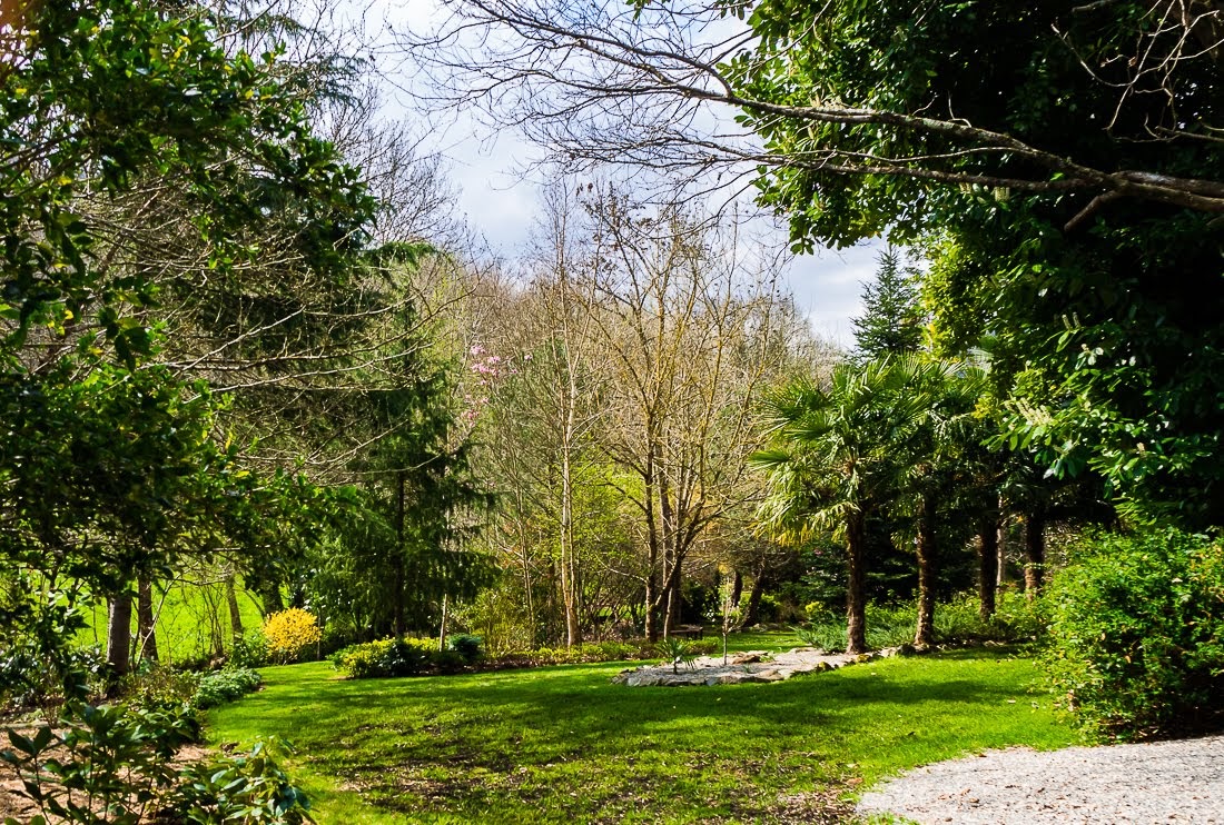 Очередные 10 000 шагов к здоровью Очередные 10 000 шагов к здоровью коронавирус,медицина,общество,яостаюсьдома