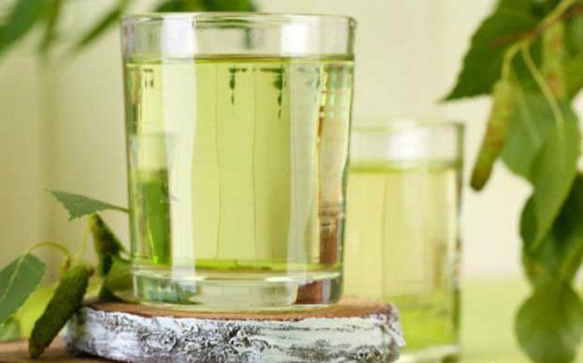 13 лучших рецептов напитков из березового сока на зиму 13 лучших рецептов напитков из березового сока на зиму рецепты