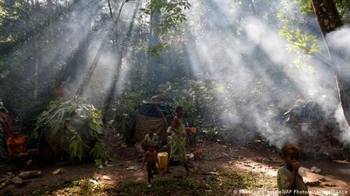 Проблема исчезновения тропических. Уничтожение лесов на планете и его последствия