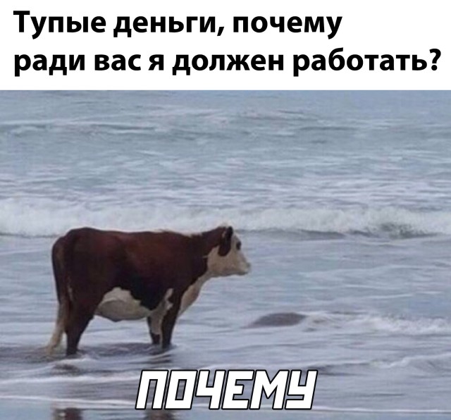 Подборка смешных картинок. Вечерний выпуск Подборка смешных картинок. Вечерний выпуск