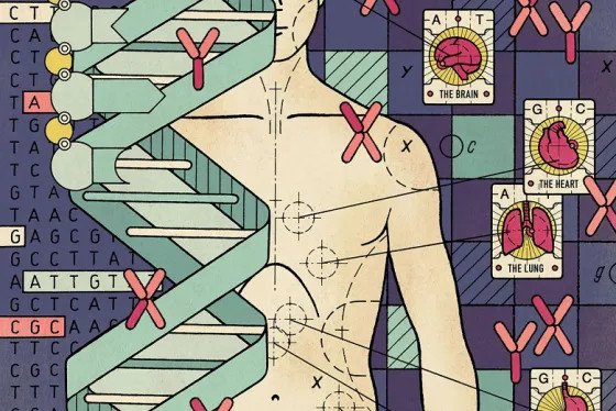 «Добро пожаловать в Nucleus Embryo». В США запустили «редактор» будущего ребёнка — родители могут задать желаемые цвет глаз, волос, рост и пол