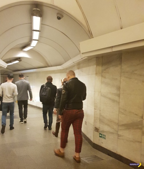 Модники в метро веселые картинки,курьезы,мода и стиль,модники в метро
