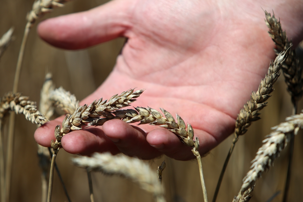 Успение 2021: история и традиции, Ореховый Спас, что можно и нельзя делать 28 августа Успение 2021: история и традиции, Ореховый Спас, что можно и нельзя делать 28 августа Общество