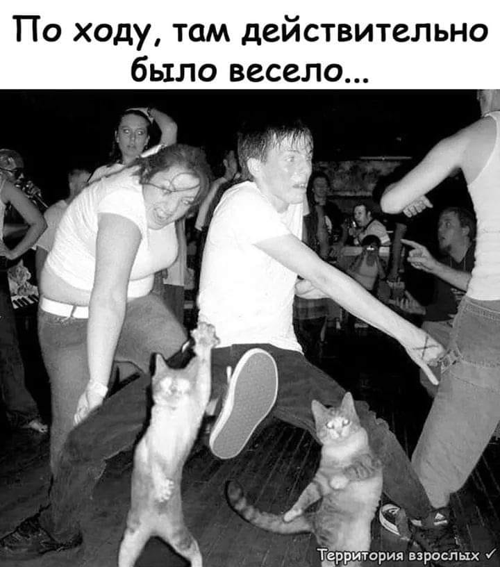 Мудрец - это такой человек, который разговаривает своими же цитатами