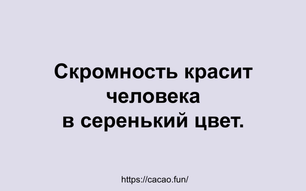 Смешные и интересные шутки, анекдоты, цитаты и фразы 