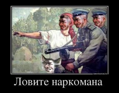 Гость усадьбы главы Теслы: Маск плотно сидит на галлюциногенах Гость усадьбы главы Теслы: Маск плотно сидит на галлюциногенах