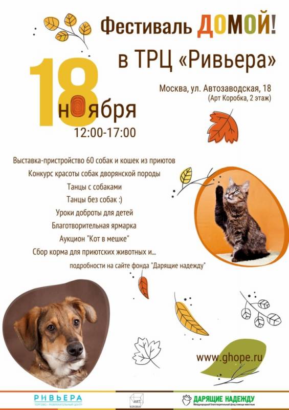 18 ноября в Москве пройдет Фестиваль ДОМОЙ! с конкурсом красоты питомцев