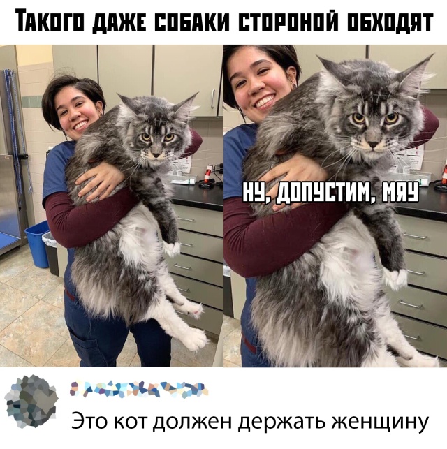 Подборка забавных картинок и смешных фото с надписями из сети Подборка забавных картинок и смешных фото с надписями из сети картинки с надписями,прикольные картинки,смешные комментарии,шикарные фотографии