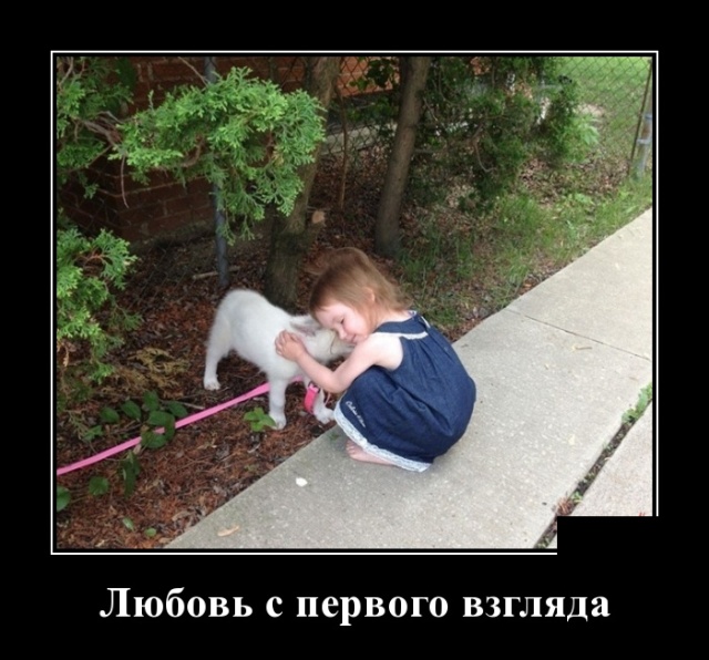 Новые демотиваторы демотиваторы