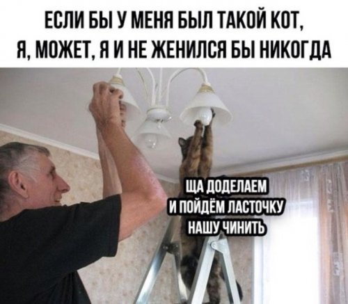 Подборка прикольных картинок, зашибись!