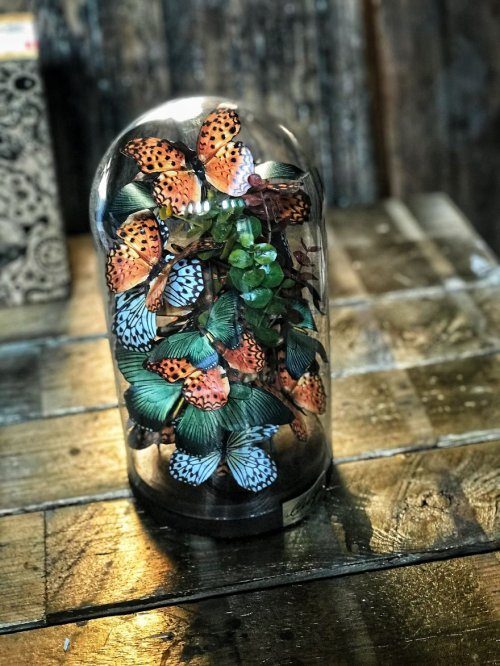 Красочные композиции с бабочками из бумаги декор,домашний очаг,самоделки