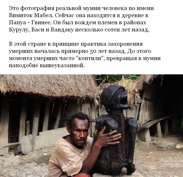 Пользователи соцсетей интересуются необычными находками Пользователи соцсетей интересуются необычными находками юмор