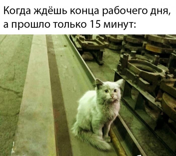 Подборка забавных картинок и смешных фото с надписями из сети Подборка забавных картинок и смешных фото с надписями из сети картинки с надписями,прикольные картинки,смешные комментарии,шикарные фотографии