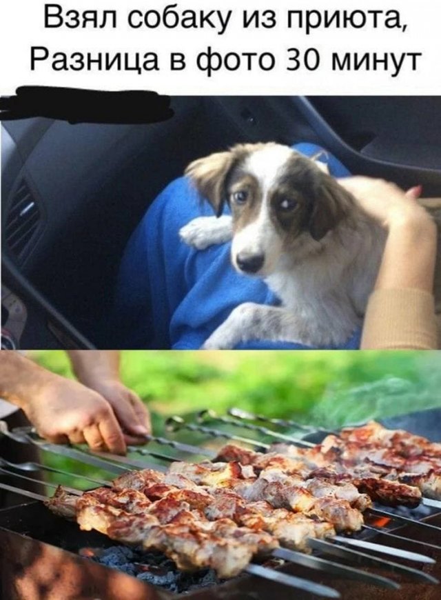 Немного странного и черного юмора  позитив,смешные картинки,юмор