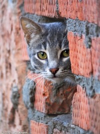 Фото пользователя Таня Ларионова (Костыгова)