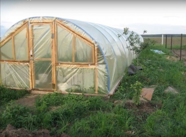 Бюджетная теплица из труб ПВХ бюджетная теплица
