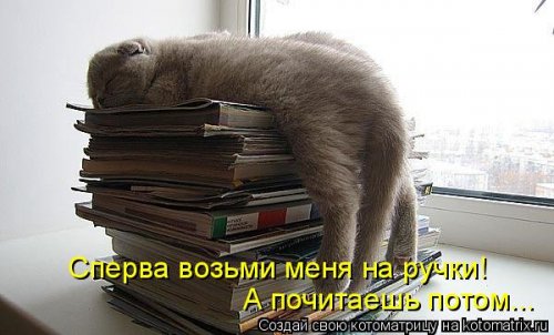 Котоматрица для всех позитив