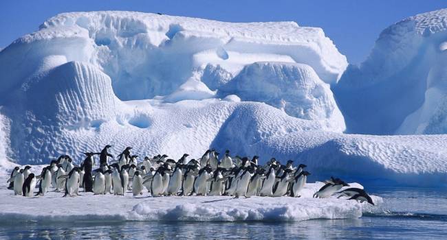 Ученые заявили о нестабильности ледников в Антарктиде