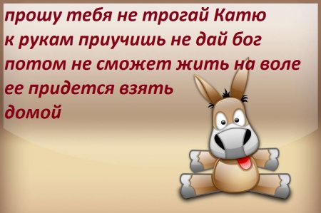 Прикольные картинки с фразками 