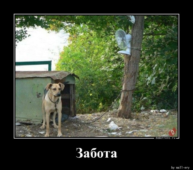 Очередная коллекция прикольных демотиваторов на любой вкус Очередная коллекция прикольных демотиваторов на любой вкус