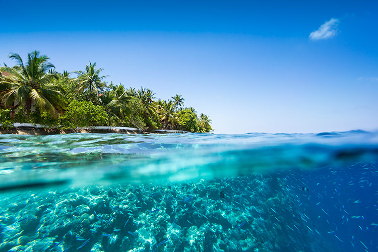 И пусть весь мир подождет: почему Мальдивы остаются райским местом для отпуска даже в пандемию Стиль жизни,Путешествия