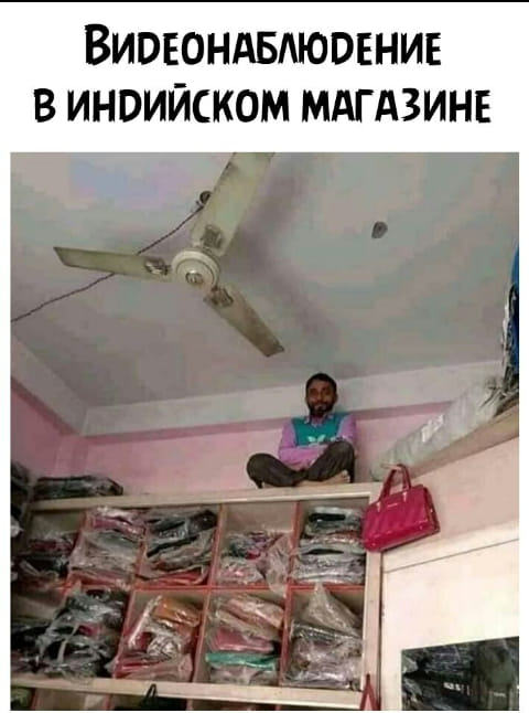 Каждый уважающий себя ёж хранит в норке фотоальбомчик...