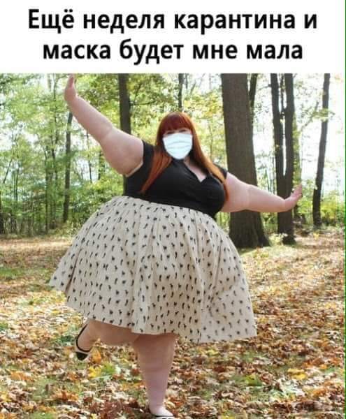 Алкоголь, постой, я не успеваю делать все вещи, что ты придумал... Алкоголь, постой, я не успеваю делать все вещи, что ты придумал... анекдоты,веселые картинки,демотиваторы,юмор