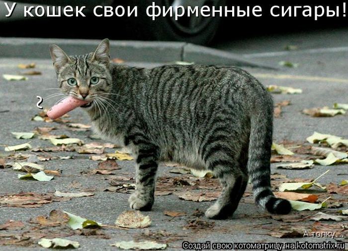 Мысли вслух :)