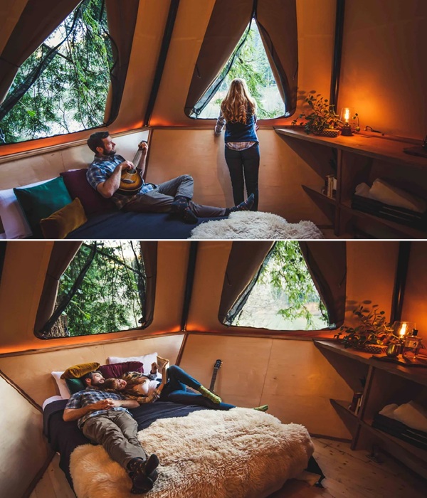 Отдых в Treewalker запомнится надолго.