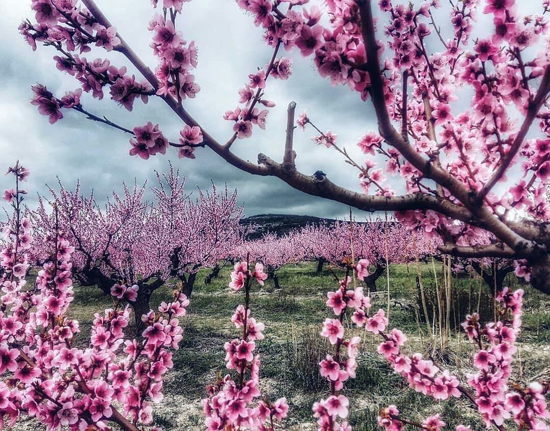 Классные фотографии, прикольные и жизненные картинки Классные фотографии, прикольные и жизненные картинки красивые фотографии,прикольные картинки,шикарные фотографии