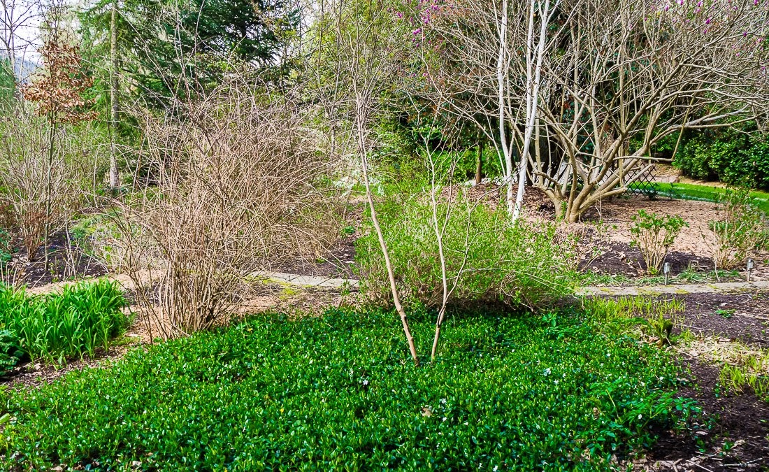 Очередные 10 000 шагов к здоровью Очередные 10 000 шагов к здоровью коронавирус,медицина,общество,яостаюсьдома