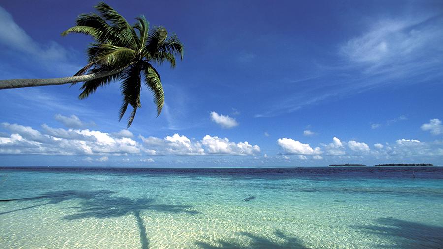 Глава Гидрометцентра посоветовал россиянам отдыхать в мае на Мальдивах