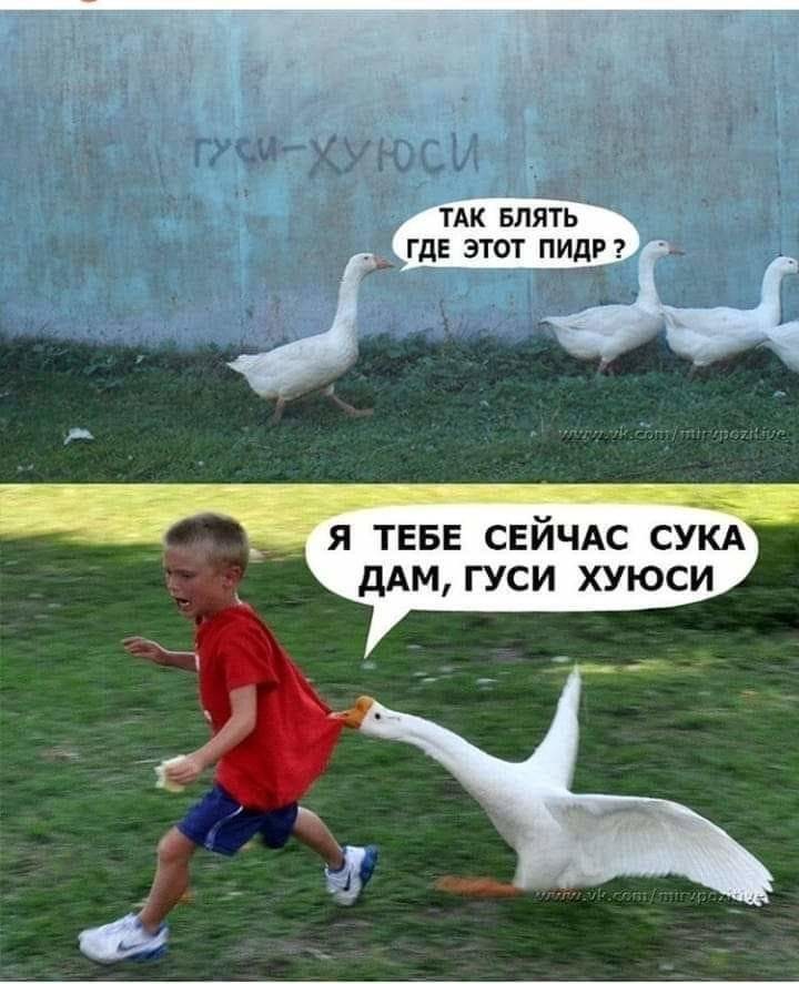 Девушка с маленькой грудью легко выносила из супермаркета то два апельсина, то два яблока. Спалилась на арбузах Девушка с маленькой грудью легко выносила из супермаркета то два апельсина, то два яблока. Спалилась на арбузах анекдоты,демотиваторы,приколы,юмор