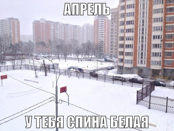 Интернет-тролли продолжали соревноваться в креативе апрель, весна, погода, снег, юмор