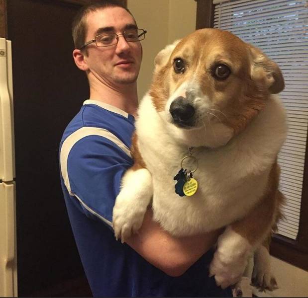 Смешные картинки 13 января 2022 года